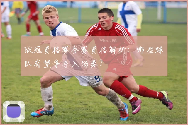 欧冠资格赛参赛资格解析：哪些球队有望争夺入场券？