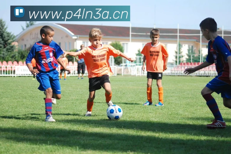 星空官网入口登录平台生态图